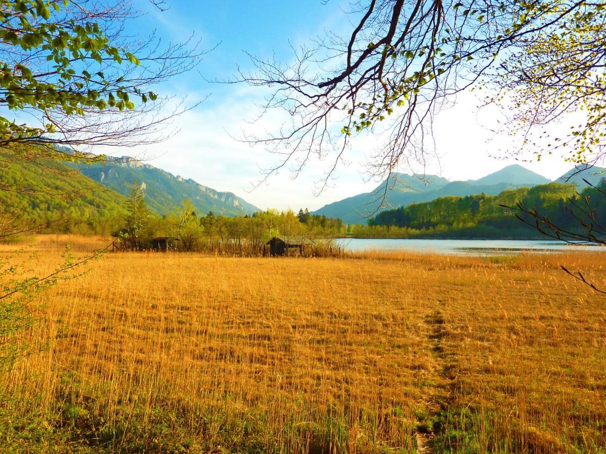Ferienwohnungen Maurer Höhenberg Aschau im Chiemgau Exterior foto