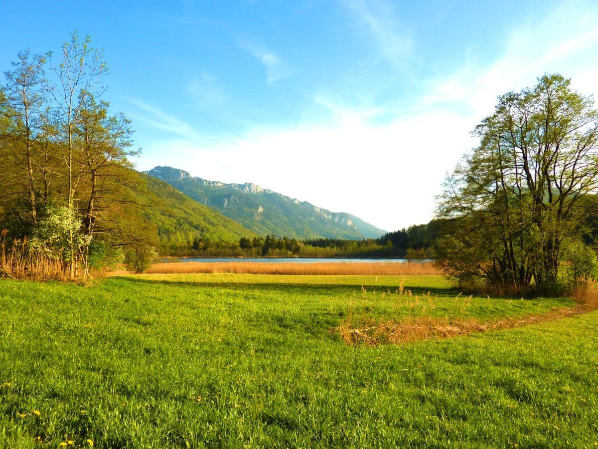 Ferienwohnungen Maurer Höhenberg Aschau im Chiemgau Exterior foto